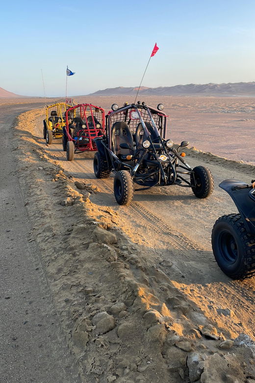 visit-the-paracas-national-reserve-in-a-minibuggy