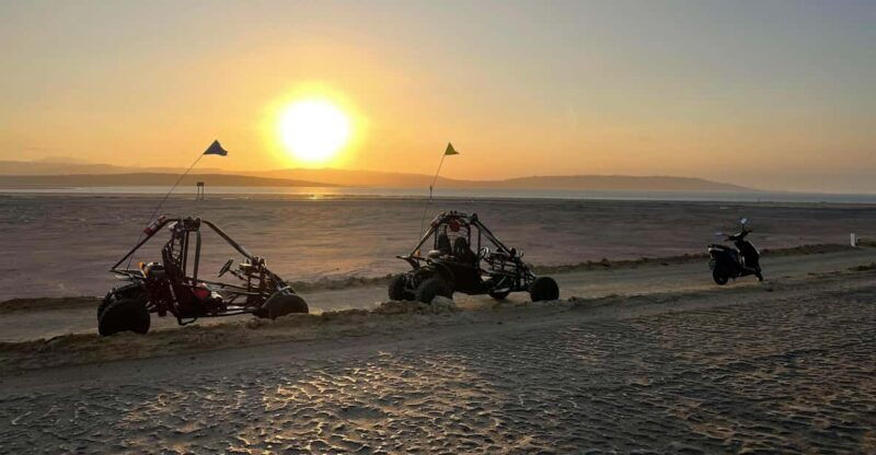 visit-the-paracas-national-reserve-in-a-minibuggy