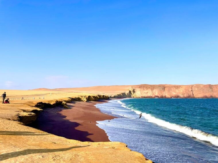 visit-the-paracas-national-reserve-in-a-minibuggy