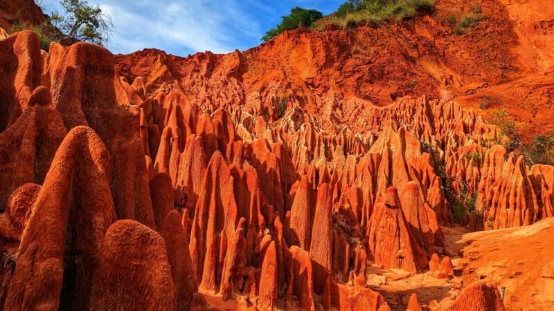 Visit the Tsingy rouge: cruise ship excursions in Antsiranana - Key Points