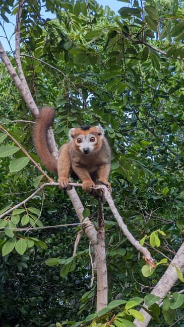 Visit the Tsingy rouge: cruise ship excursions in Antsiranana - Authentic Insights from Past Travelers
