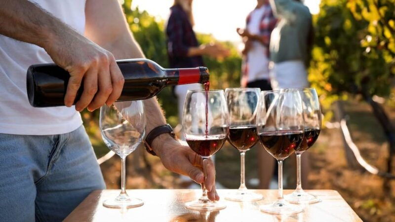 visit-the-vineyards-and-discover-bandol-wines