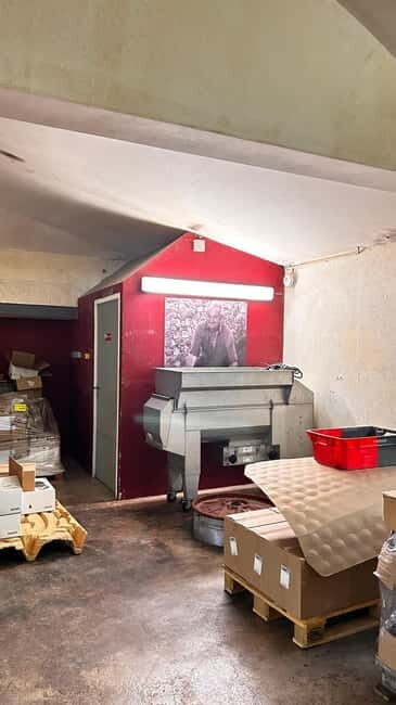 Visit the winery and taste the estate's wines - A Detailed Look at the Domaine Riberach Winery Tour in Bélesta