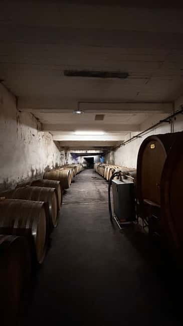 Visit the winery and taste the estate's wines - The Value of the Experience