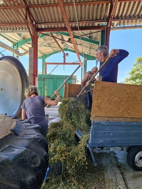 Visit to a family lavender essential oil distillery - Key Points