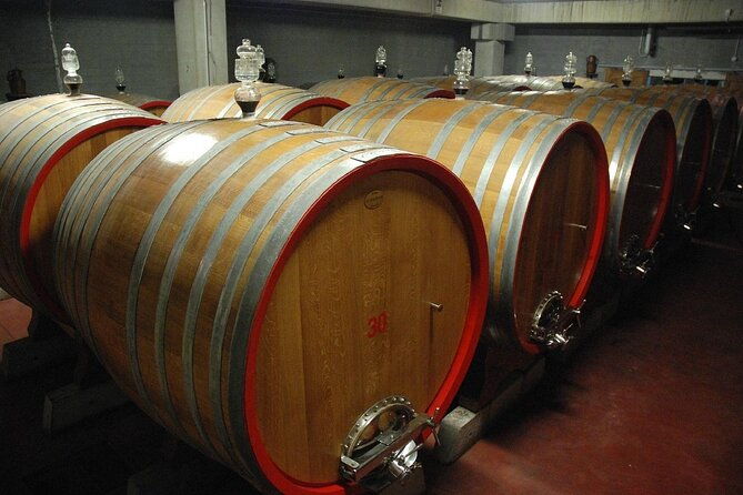visit-to-a-winery-in-salento-with-wine-tasting-and-light-lunch-from-lecce