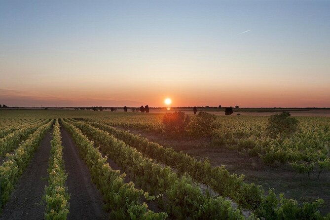 visit-to-a-winery-in-salento-with-wine-tasting-and-light-lunch-from-lecce