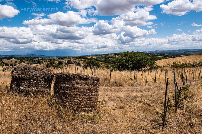 visit-to-an-organic-farm-and-tasting-of-natural-wines