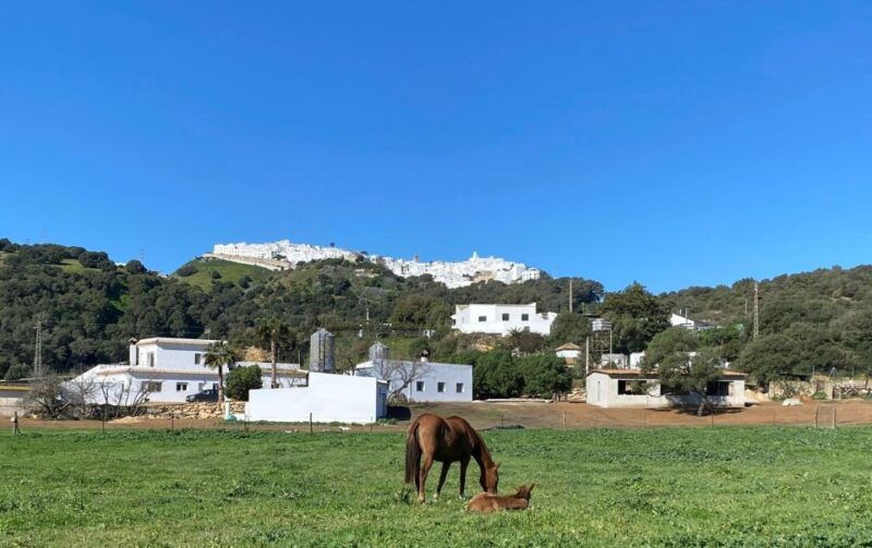 visit-to-angostura-stud-wine