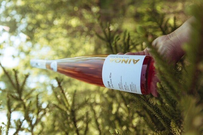 Visit to Authentic Finnish Berry Winery, Tasting Included - An In-Depth Look at the Finnish Berry Winery Tour