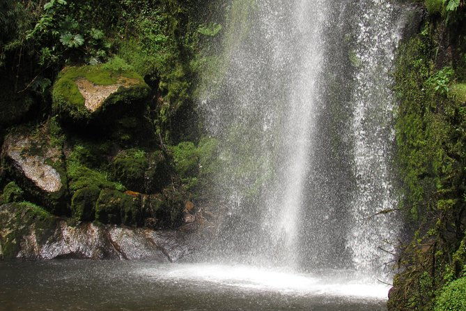 visit-to-la-chorrera-natural-park-private-tour-from-bogota-8-hrs