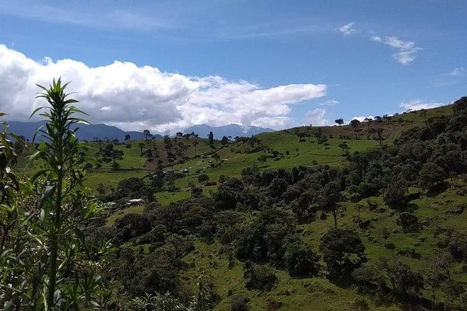 visit-to-la-chorrera-natural-park-private-tour-from-bogota-8-hrs