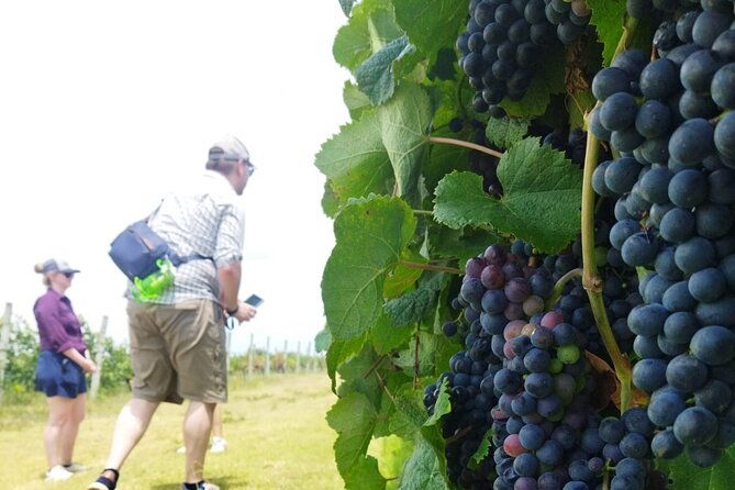 visit-to-legendary-winery-in-montevideo