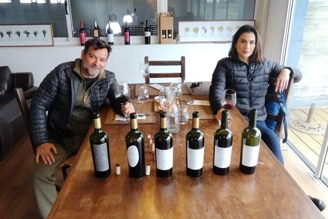 visit-to-legendary-winery-in-montevideo