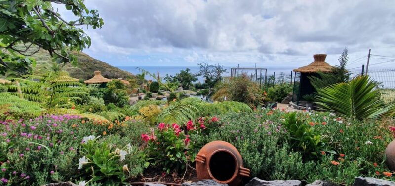 visit-to-madeira-bird-island
