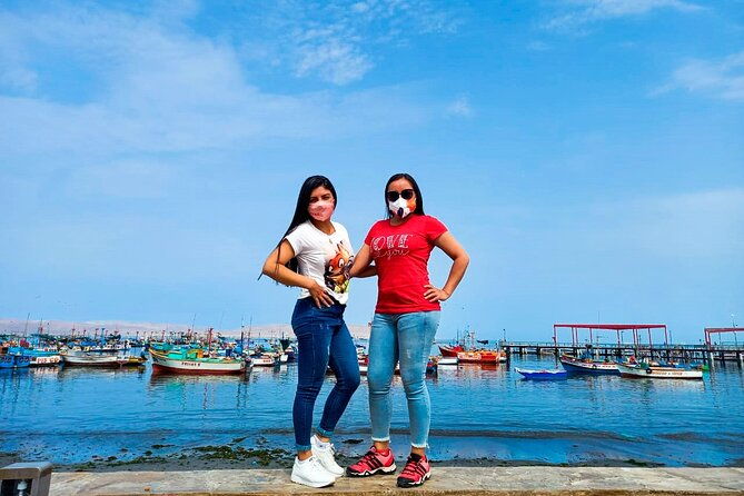 visit-to-paracas-ballestas-islands-and-huacachina