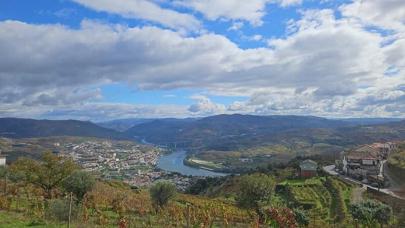 Visit to Quinta de Sobre a Fonte with wine tasting - pet friendly - The Guide and Group Size