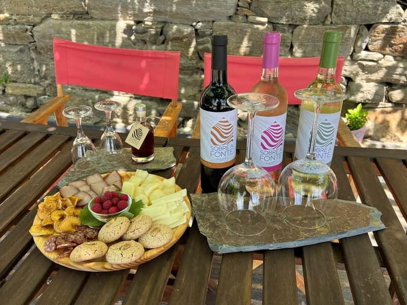 Visit to Quinta de Sobre a Fonte with wine tasting - pet friendly - Practical Details