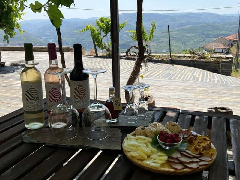 Visit to Quinta de Sobre a Fonte with wine tasting - pet friendly - Pricing and Value