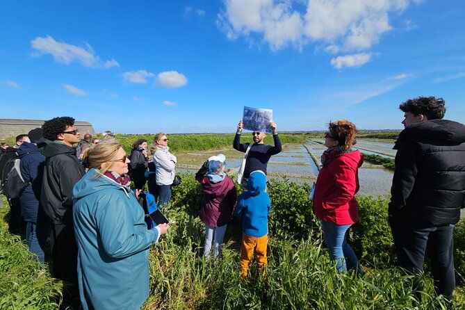 visit-to-saline-guerande-salt-marshes
