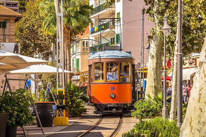 visit-to-soller-and-valldemossa