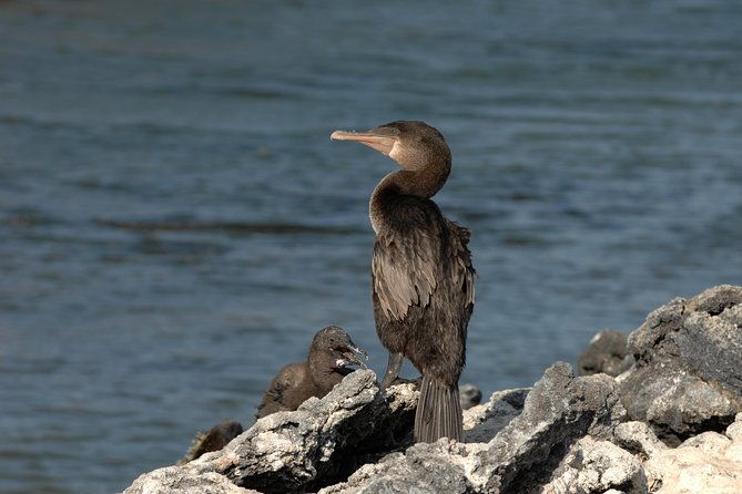 visit-to-spanish-island-san-cristobal