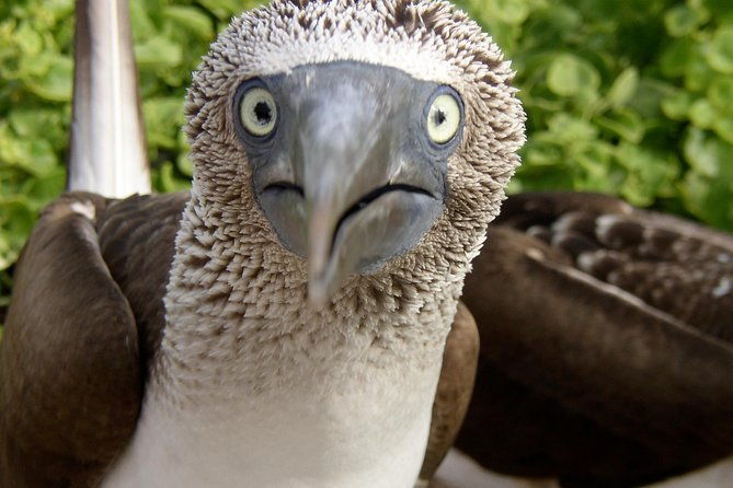 visit-to-spanish-island-san-cristobal