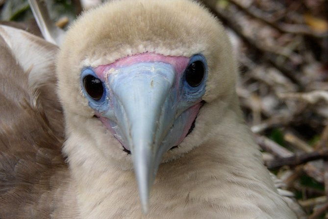 visit-to-spanish-island-san-cristobal