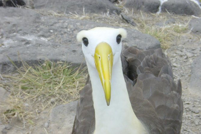 visit-to-spanish-island-san-cristobal