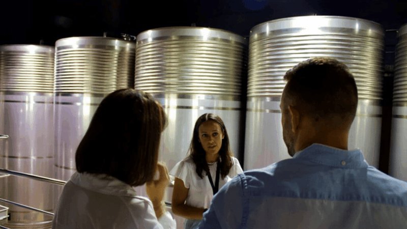 visit-to-the-adegas-valminor-winery-and-tasting