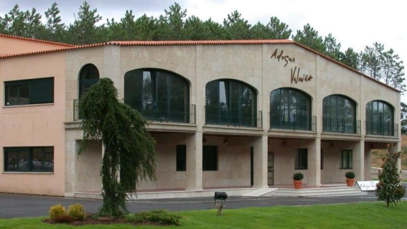 visit-to-the-adegas-valminor-winery-and-tasting