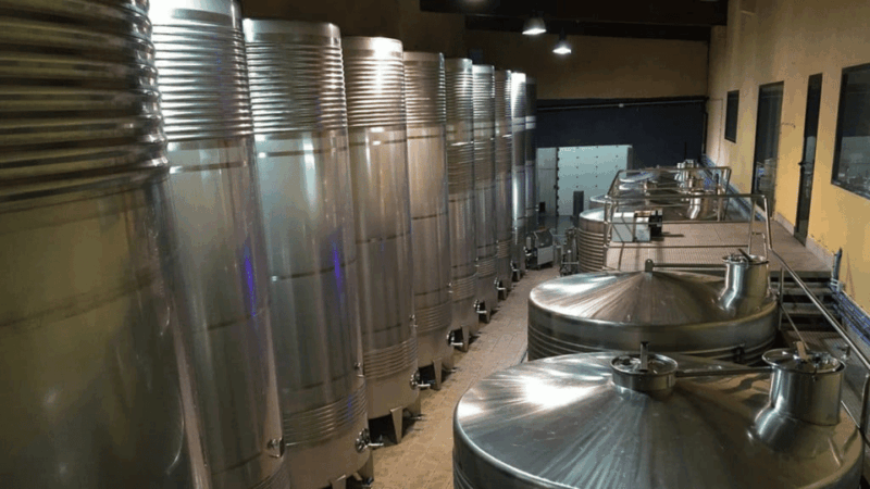 visit-to-the-adegas-valminor-winery-and-tasting