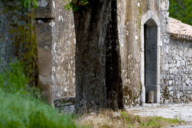 visit-to-the-cellar-at-the-feudi-di-san-gregorio-from-sorrento