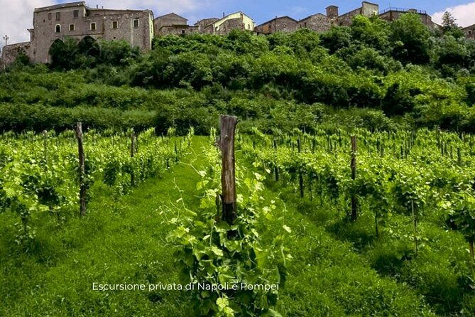 visit-to-the-cellar-at-the-feudi-di-san-gregorio-from-sorrento