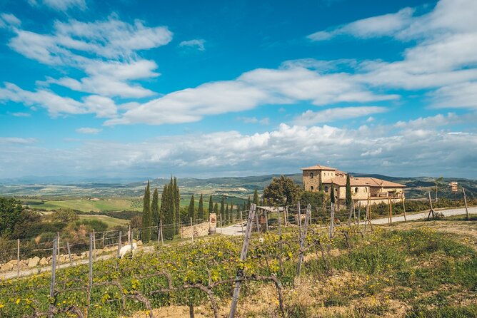 visit-to-the-cellar-with-wine-food-tasting-over-the-val-dorcia