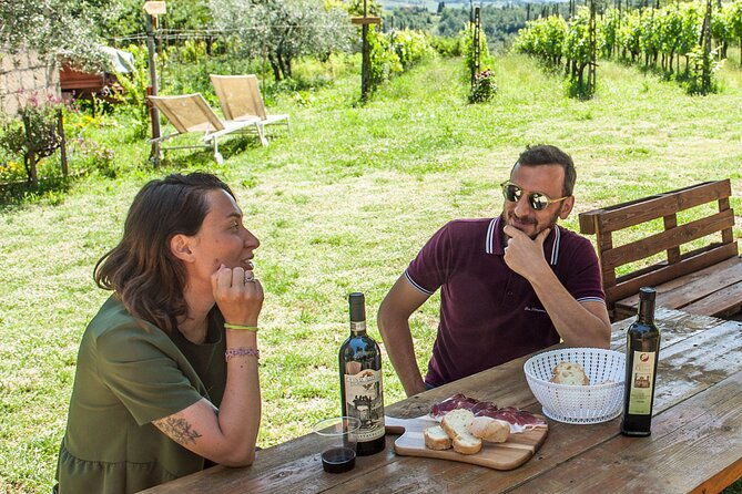 visit-to-the-cinta-senese-farm-in-montepulciano