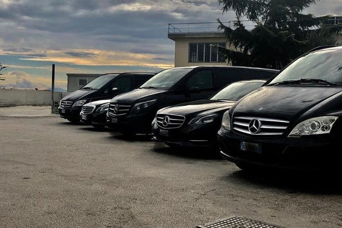 visit-to-the-city-of-naples-and-pompeii-excavations