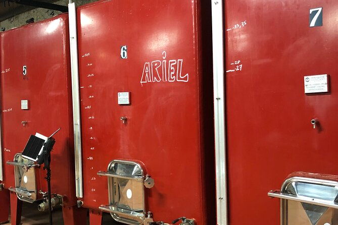 visit-to-the-faugeres-vineyards-with-picnic-from-beziers