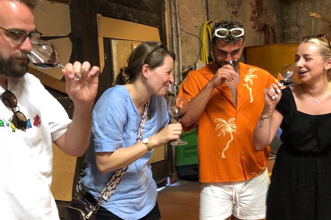 visit-to-the-faugeres-vineyards-with-picnic-from-beziers