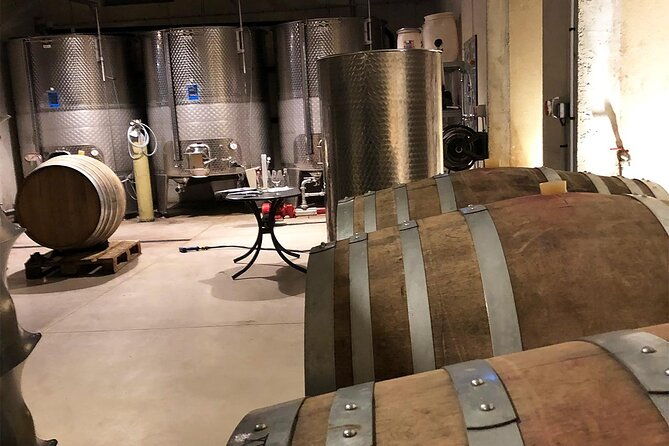 visit-to-the-faugeres-vineyards-with-picnic-from-beziers