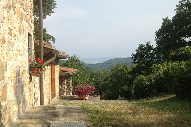 visit-to-the-market-and-cooking-classes-in-a-tuscan-farmhouse-2