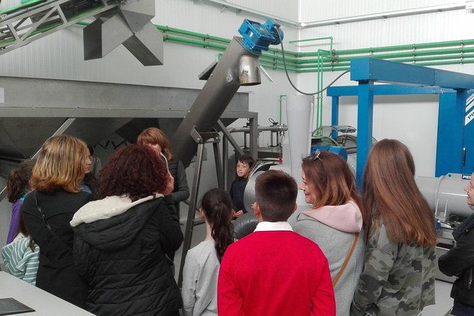 visit-to-the-oil-mill-with-evoo-experiences-in-cuenca