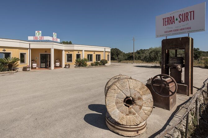 visit-to-the-olive-grove-oil-tasting-and-lunch-at-the-farm