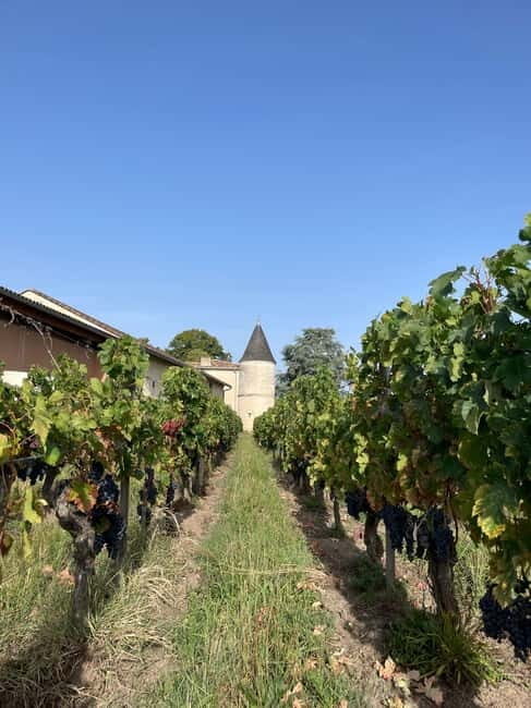 Visit to the property and wine/cheese pairing workshop - A Closer Look at the Château Cruzeau Wine & Cheese Pairing Workshop