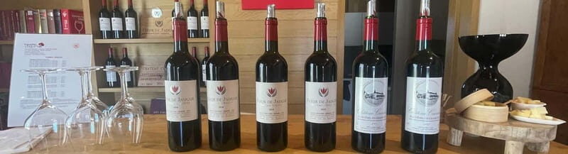 Visit to the property and wine/cheese pairing workshop - Final Thoughts