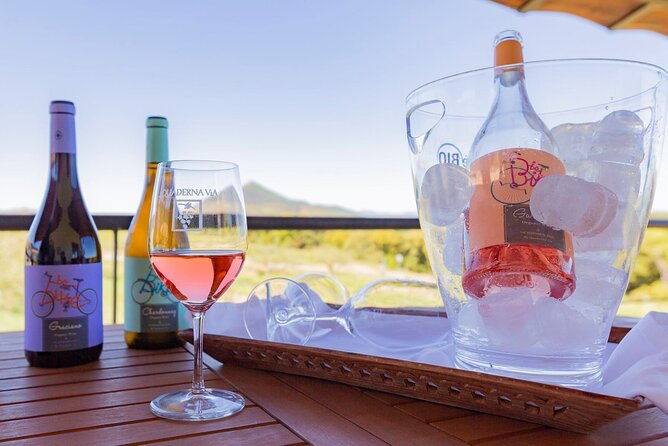 visit-to-the-winery-with-wine-tasting-and-appetizers-in-navarra