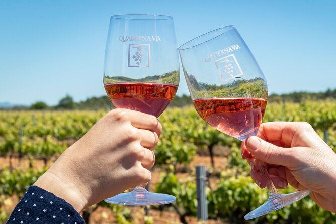 visit-to-the-winery-with-wine-tasting-and-appetizers-in-navarra