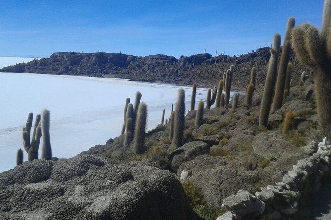 visit-to-uyuni-salt-flats-from-sucre-by-bus