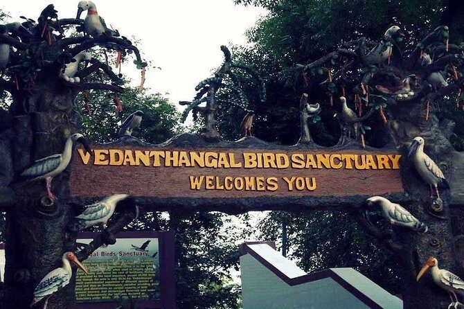 Visit to Vedanthangal Bird Sanctuary from Chennai - The Journey Begins: From Chennai to Vedanthangal