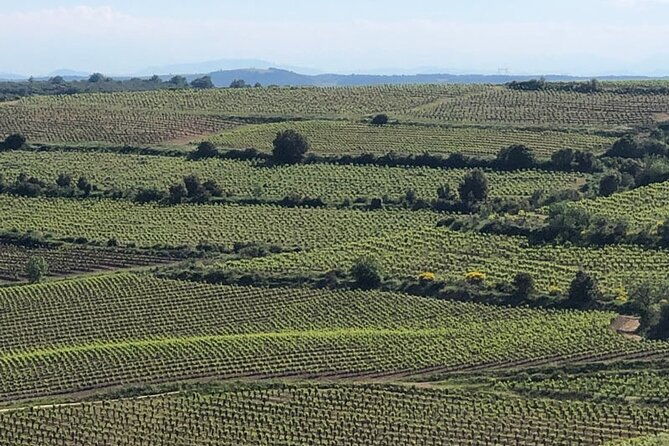 visit-to-vineyards-and-tastings-departing-from-beziers